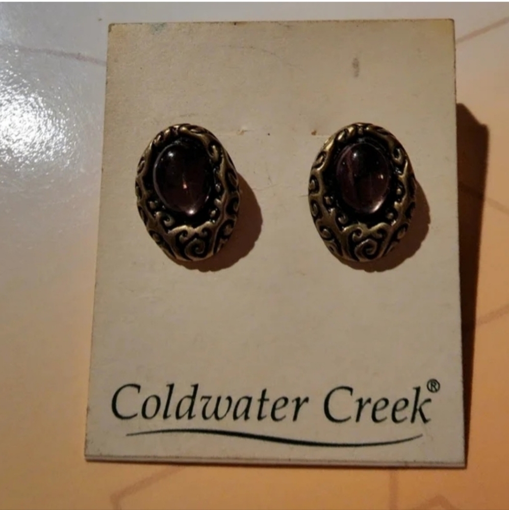 Coldwater Creek Textured Bezel Earrings New Vintage